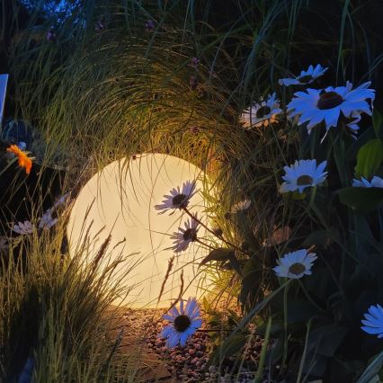 LED-lampa för utomhusbruk GLOBO 1xE27/9W/230V diameter 40 cm IP44