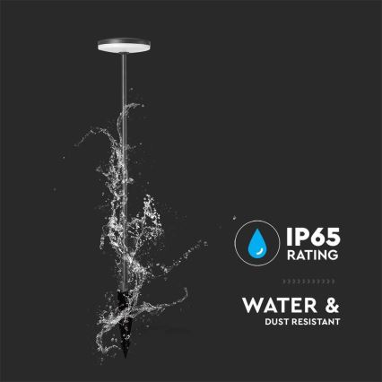 LED-lampa för utomhusbruk LED/12W/230V 4000K IP65 antracit