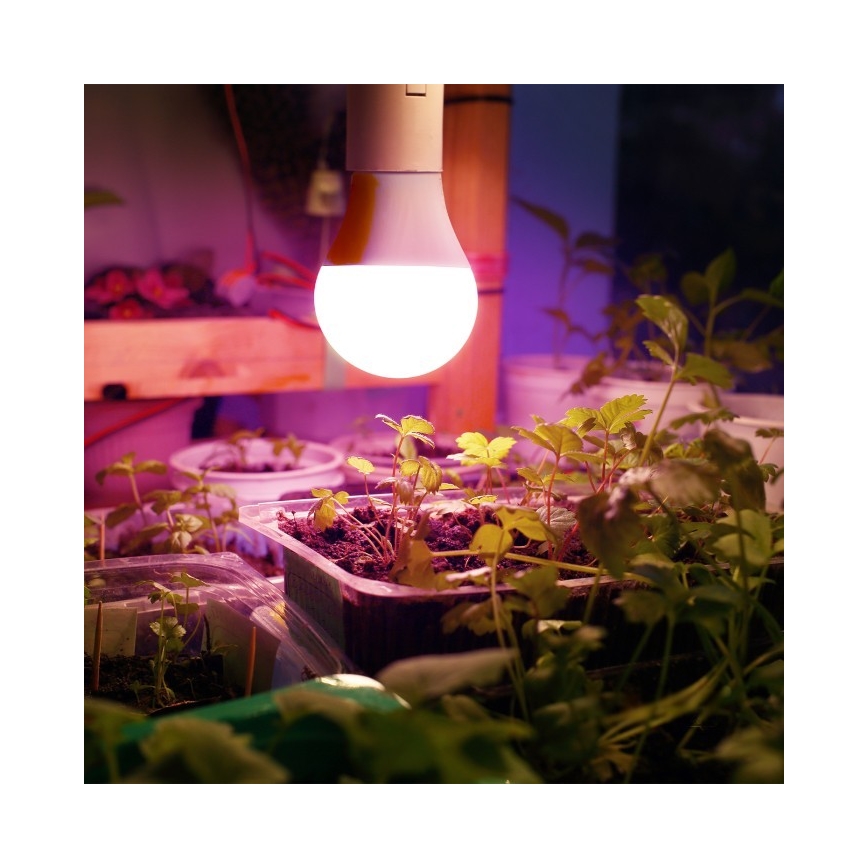 LED-lampa för växtbelysning PLANTY E27/11W/230V 1200K vit