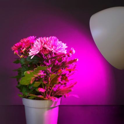 LED-lampa för växtbelysning PLANTY E27/11W/230V 1200K vit