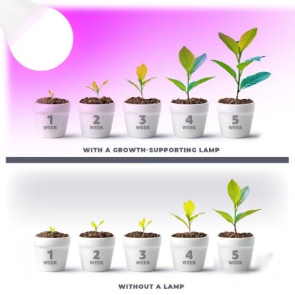 LED-lampa för växtbelysning PLANTY E27/11W/230V 1200K vit