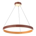 LED-lampa i läderrem LEATHER LED/47,8W/230V brun/orange