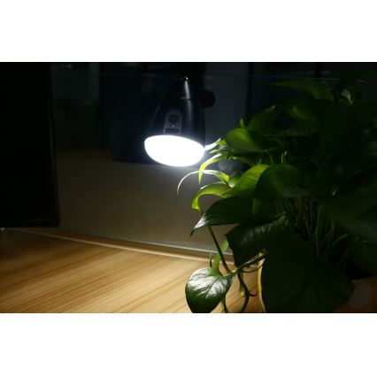 LED-lampa KLIP med USB-laddare LED/5W/5V 4000K