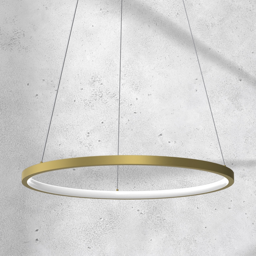 LED-lampa på kabel ROTONDA LED/27W/230V guld