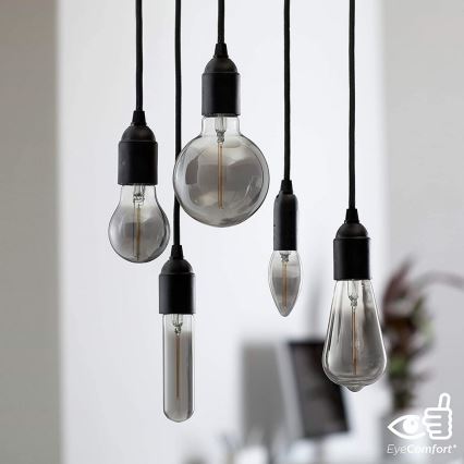 LED-lampa SMOKY VINTAGE Philips ST64 E27/2.3W/230V 2,700K