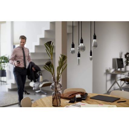 LED-lampa SMOKY VINTAGE Philips ST64 E27/2.3W/230V 2,700K