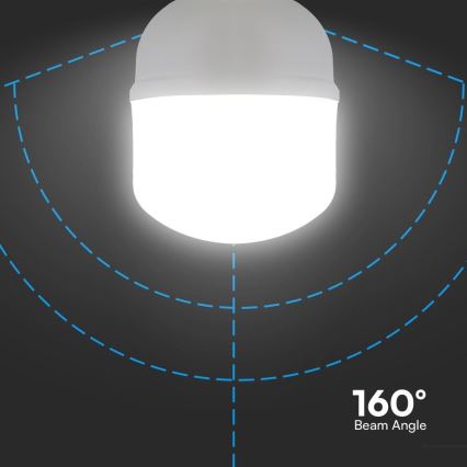 LED-lampa T100 E27/30W/230V 6500K