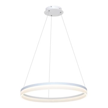 LED Ljuskrona med snöre RING LED/36W/230V