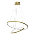 LED ljuskrona med textilsladd HOOP LED/51W/230V diameter 60 cm 4000K guld