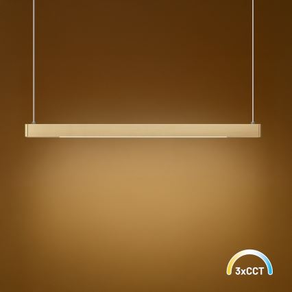 LED-ljuskrona med vajer LINEA LED/36W/230V 3000/4000/5700K CRI 90 guld