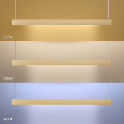 LED-ljuskrona med vajer LINEA LED/36W/230V 3000/4000/5700K CRI 90 guld