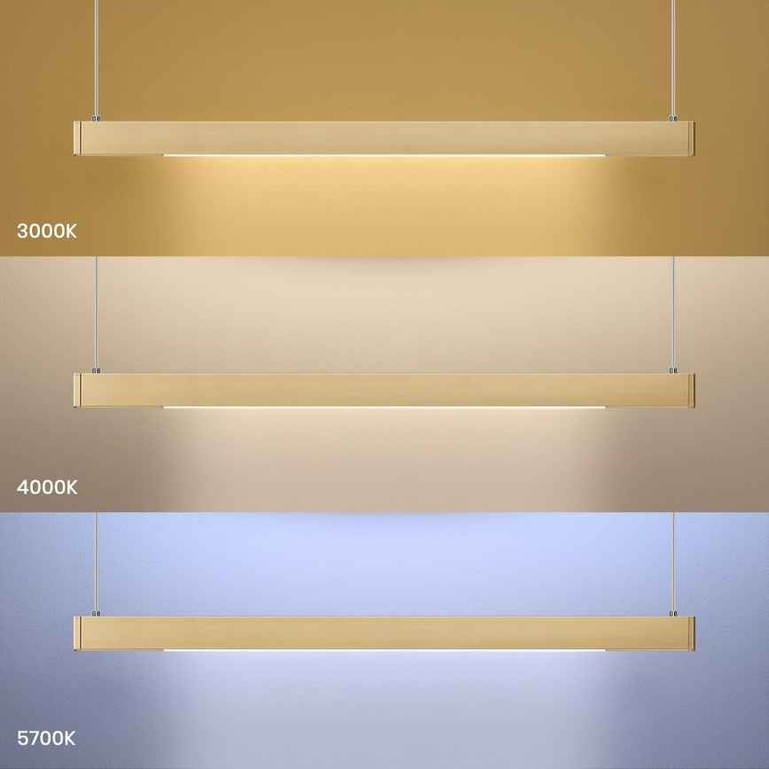 LED-ljuskrona med vajer LINEA LED/36W/230V 3000/4000/5700K CRI 90 guld