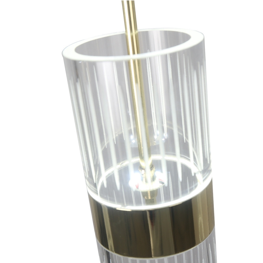 LED-ljuskrona på vajer AMBIENTE 3xLED/6W/230V 3000/4000/6000K guld