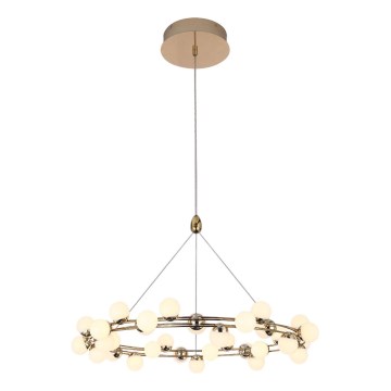 LED-ljuskrona på vajer MARS LED/50W/230V 3000K guld