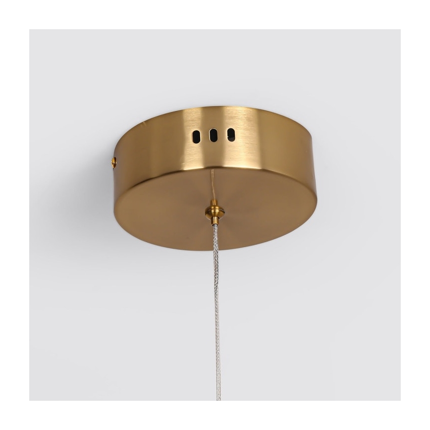 LED-ljuskrona på vajer MELECA LED/36W/230V 3000/4000/6000K 160 cm guldfärgad