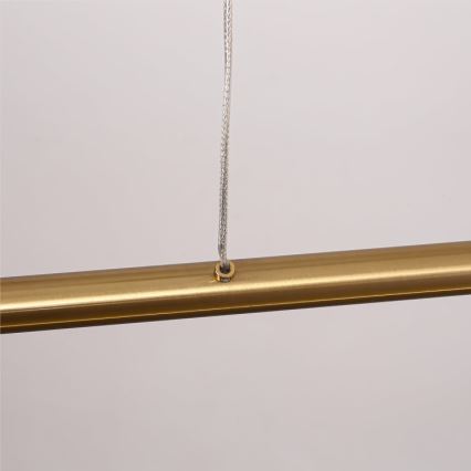 LED-ljuskrona på vajer MELECA LED/36W/230V 3000/4000/6000K 160 cm guldfärgad