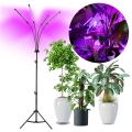 LED Ljusreglerad flexibel golvlampa för att odla växter VITARO 4xLED/7,5W/230V svart