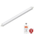 LED Ljusreglerad heavy-duty belysning LED/40W/230V 3000-6500K Wi-Fi Tuya IP65