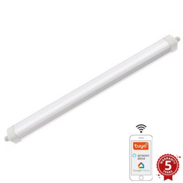 LED Ljusreglerad heavy-duty belysning LED/40W/230V 3000-6500K Wi-Fi Tuya IP65