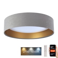 LED ljusreglerad taklampa SMART GALAXY LED/24W/230V diameter 45 cm 2700-6500K Wi-Fi Tuya grå/gyllene + fjärrkontroll