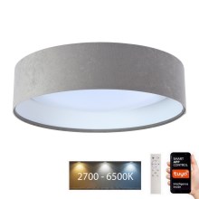 LED ljusreglerad taklampa SMART GALAXY LED/24W/230V diameter 45 cm 2700-6500K Wi-Fi Tuya grå/vit + fjärrkontroll
