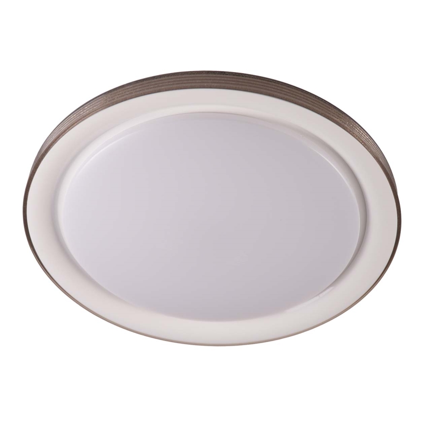 LED ljusreglerad taklampa till badrum GRAŻYNA LED/48W/230V 3000-6000K diameter 41 cm IP44 grå + fjärrkontroll