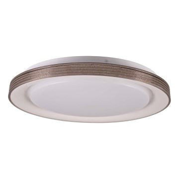 LED ljusreglerad taklampa till badrum GRAŻYNA LED/48W/230V 3000-6000K diameter 41 cm IP44 grå + fjärrkontroll