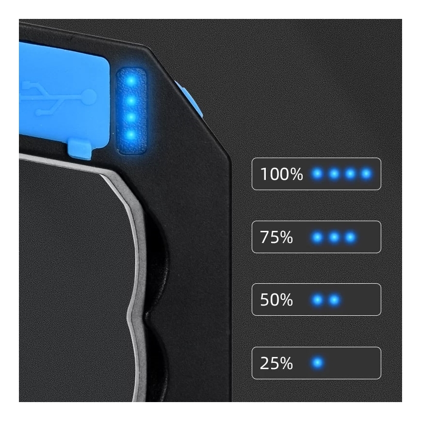 LED Ljusreglerad uppladdningsbar ficklampa LED/5V IPX4 250 glansig 1200 mAh