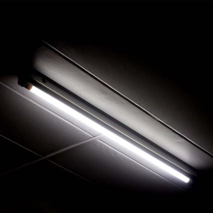LED lLsrör T5 G5/8W/230V 6500K 60 cm
