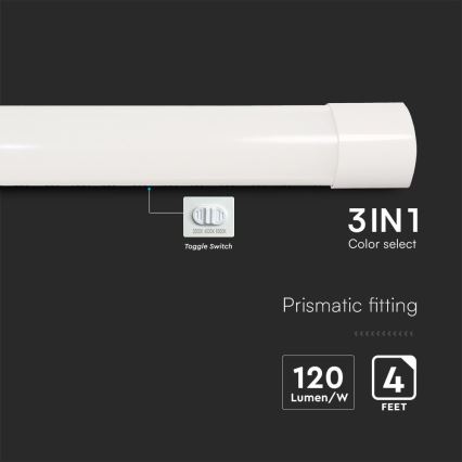 LED Lysrörsbelysning LED/40W/230V 3000/4000/6500K 116 cm