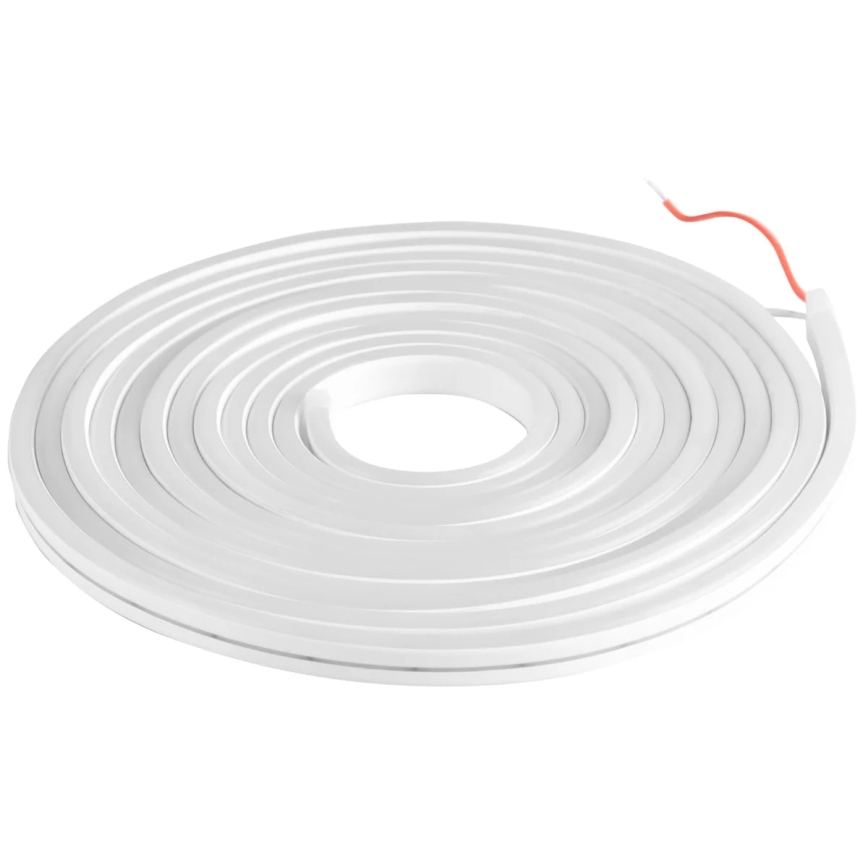 LED-slinga NEON 5m LED/48W/24V 4000K IP65