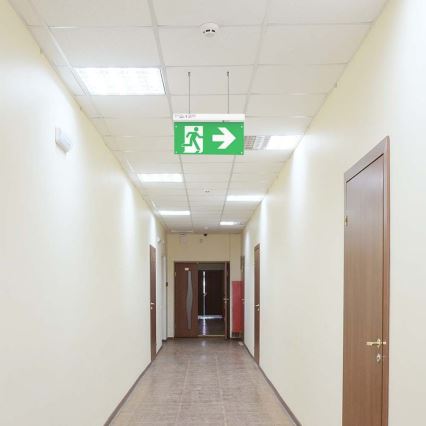 LED nödbelysning EMERGENCY EXIT LED/2,5W/230V 04.01.2001 6000K