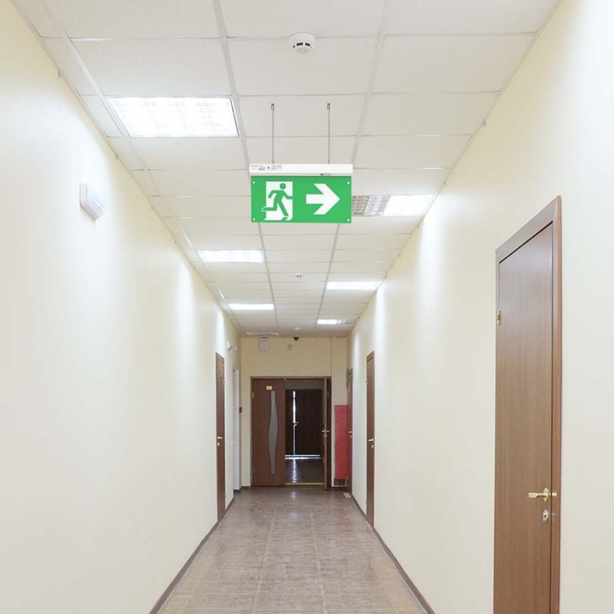 LED nödbelysning EMERGENCY EXIT LED/2,5W/230V 04.01.2001 6000K