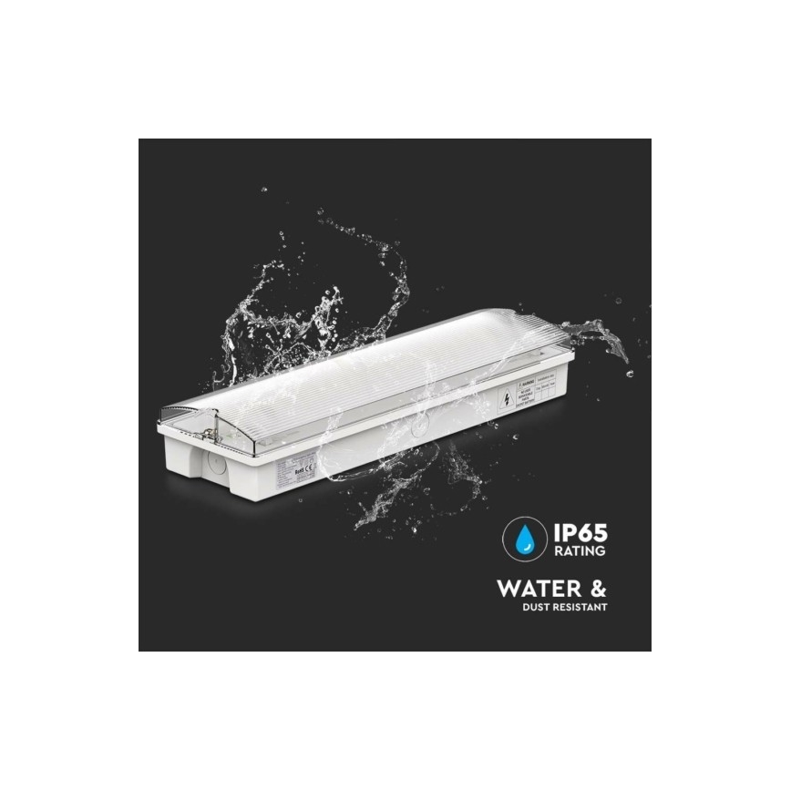LED nödbelysning EMERGENCY EXIT LED/3W/230V 6400K IP65