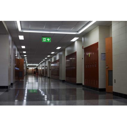 LED nödbelysning LED/4,5W/230V 6500K