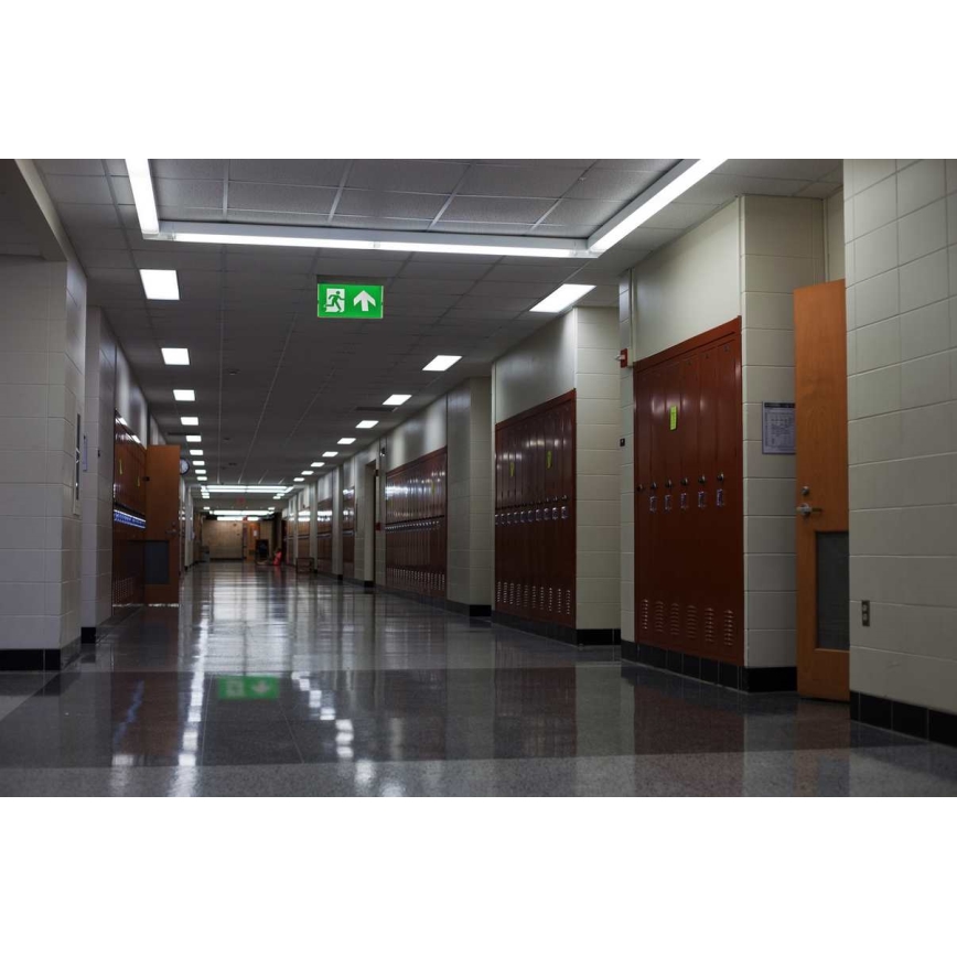 LED nödbelysning LED/4,5W/230V 6500K