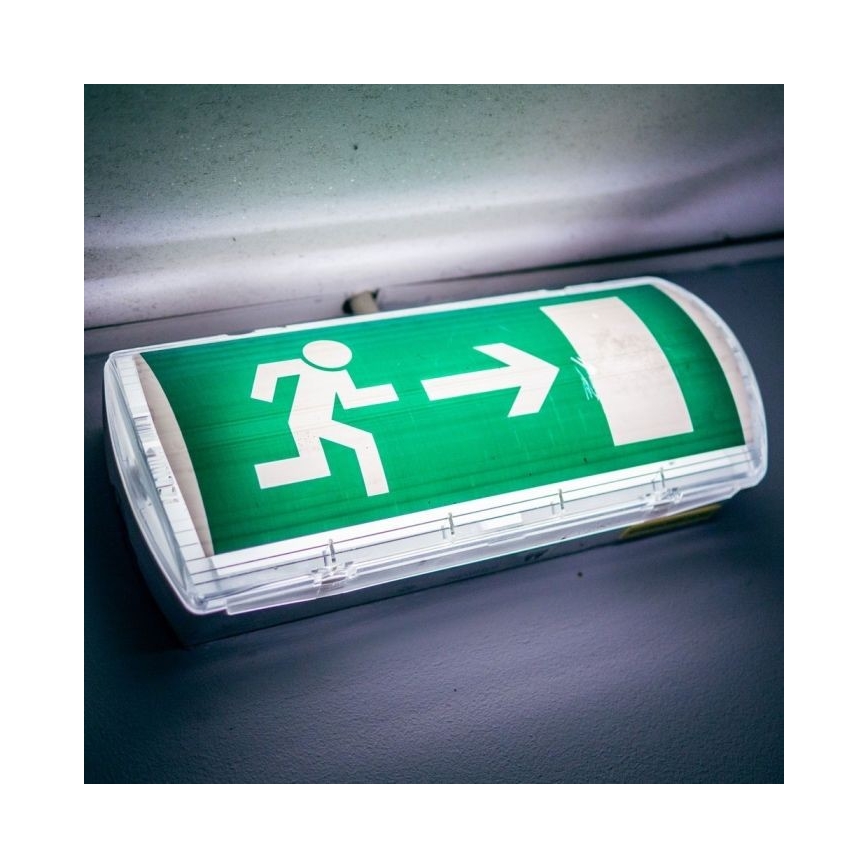 LED Nödljus EMERGENCY EXIT LED/3W/230V IP65 6000K 1200mAh