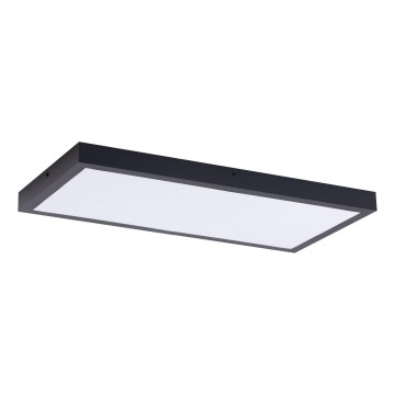 LED panel LED/36W/230V 4000K 30x60 cm svart