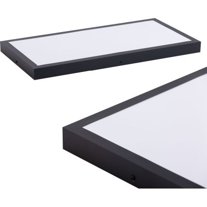 LED panel LED/36W/230V 4000K 30x60 cm svart