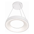 LED-pendel med kabelupphängning DRAX LED/32W/230V 4000K Ø38 cm vit