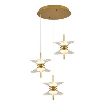 LED-pendel med vajer BUTTERFLY 6xLED/5W/230V 3000K guld