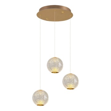 LED-pendel på kabel CREMONA 3xLED/5W/230V 3000K guld