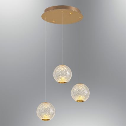 LED-pendel på kabel CREMONA 3xLED/5W/230V 3000K guld