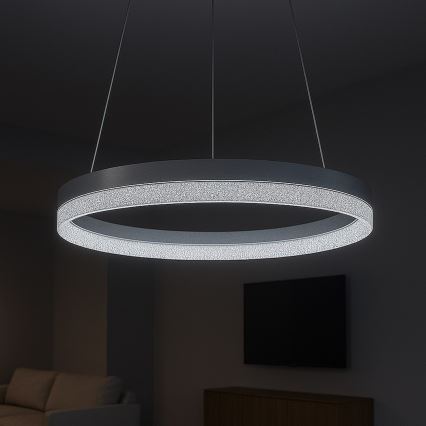 LED-pendel på vajer GALA LED/25W/230V Ø 50 cm silver