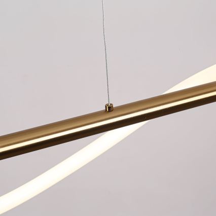 LED-pendel på vajer MELECA LED/24W/230V 3000/4000/6000K 100 cm guld