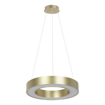 LED-pendel på vajer UNION LED/40W/230V 3000/4000/6500K Ø 40 cm, guld