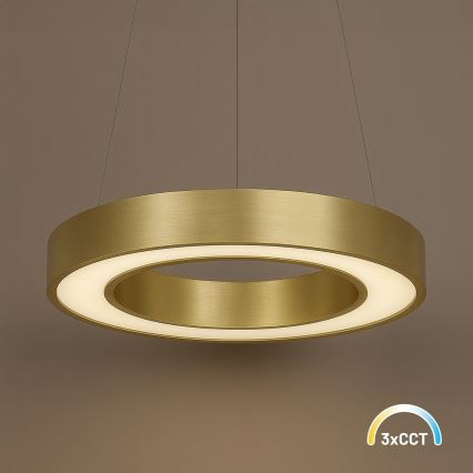 LED-pendel på vajer UNION LED/40W/230V 3000/4000/6500K Ø 40 cm, guld