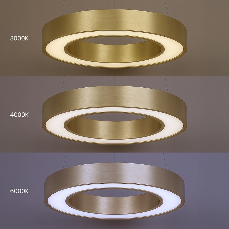 LED-pendel på vajer UNION LED/40W/230V 3000/4000/6500K Ø 40 cm, guld