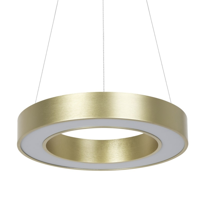 LED-pendel på vajer UNION LED/40W/230V 3000/4000/6500K Ø 40 cm, guld