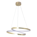 LED-pendel på vajer ZEFIRA LED/40W/230V 4000K Ø 50 cm guld